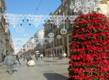 Подготовка к Рождеству и Новому году в Испании: растительные декорации