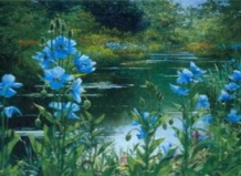 Небесный цвет или летний сад в синих тонах