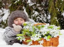 Подснежники – первоцветы, растапливающие снег