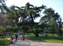 Сады и парки Италии. Весенний парк Семпионе  в Милане