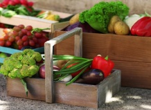 Способы хранения овощей  