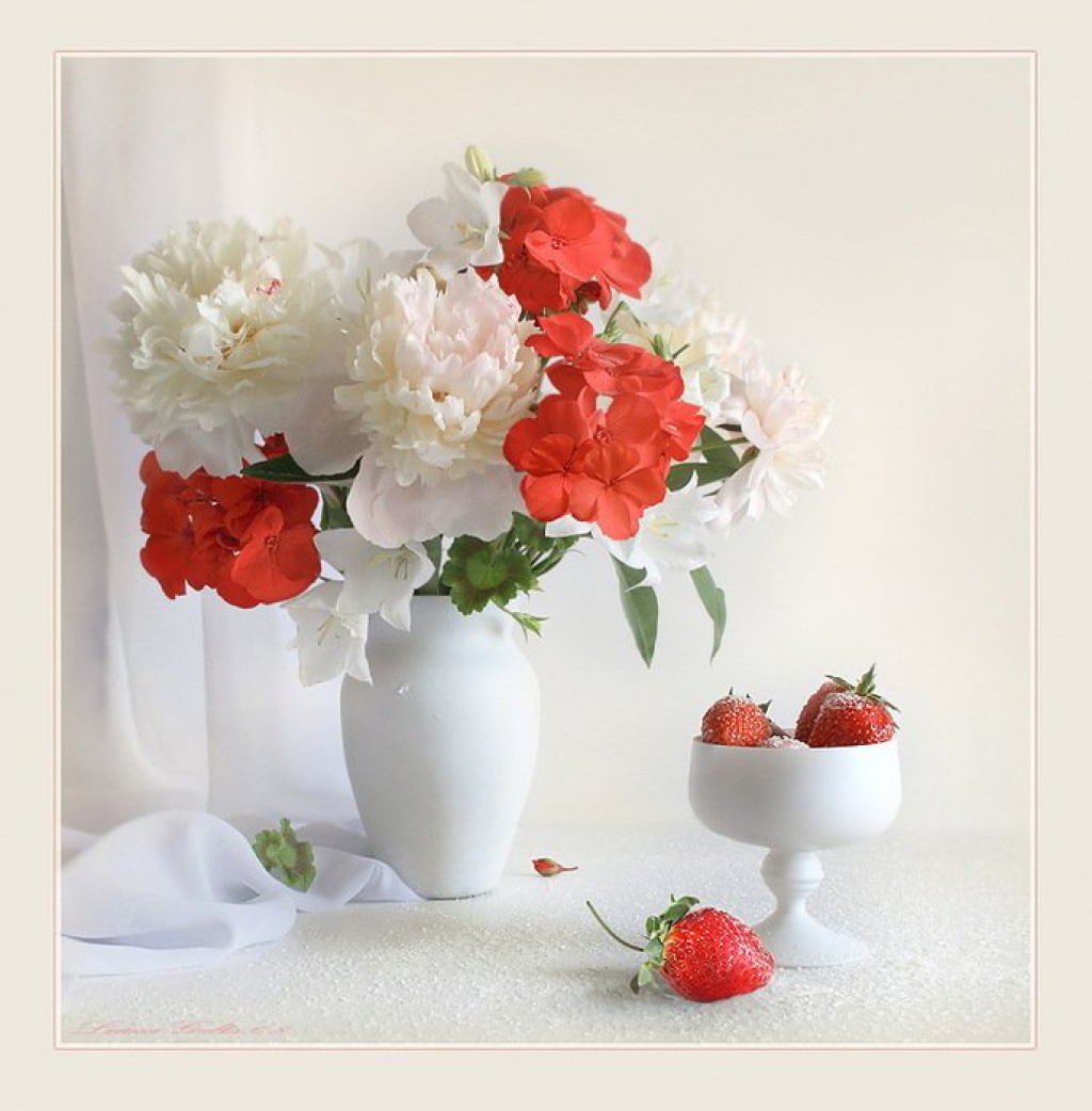 http://www.vashsad.ua/i/gallery/foto/242/1024_768/g6W01pje.jpg