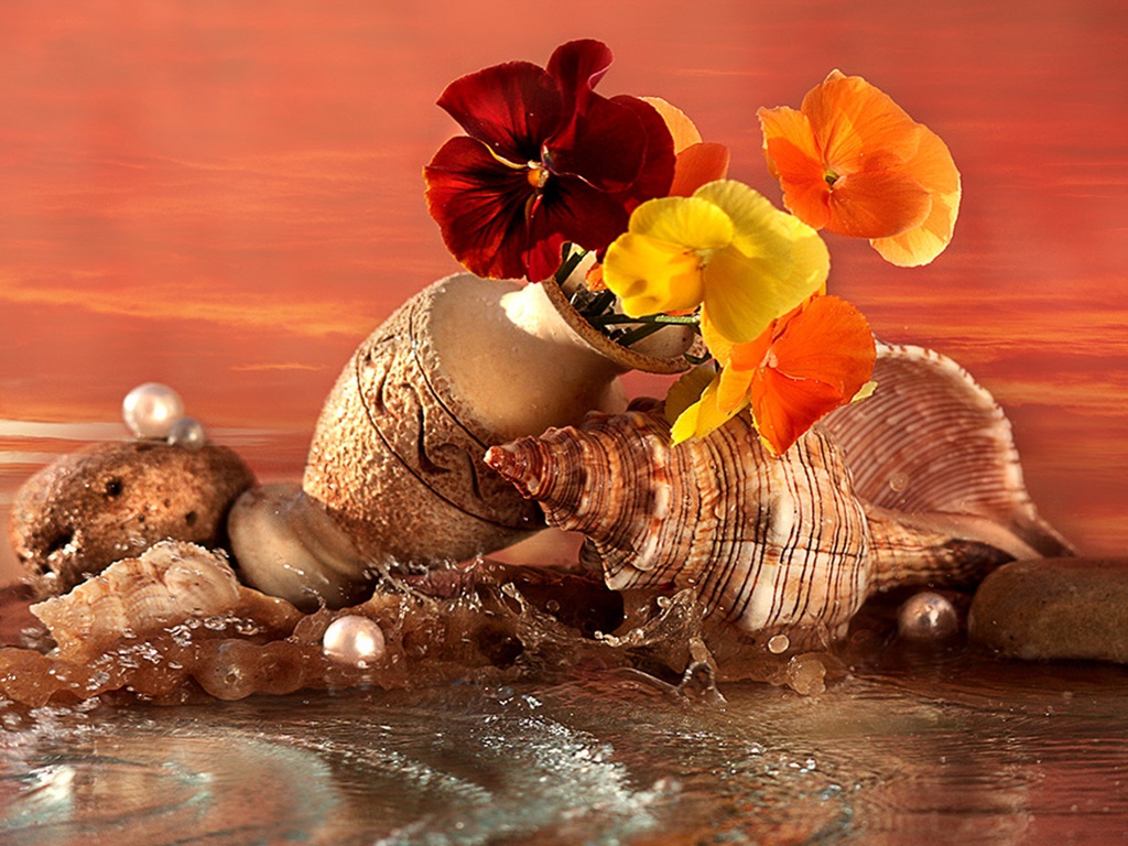 Милую Амстердамку с Днем рождения!