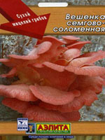 Вешенка семгово-соломенная (Pleurotus salmoneo stramineus)