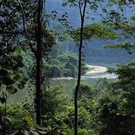 Национальный парк Таман-Негара (Малайзия)