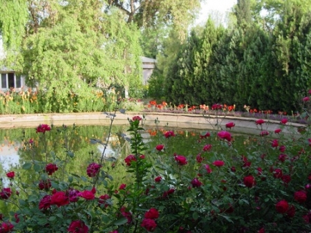 Декоративные пруды (фото) 