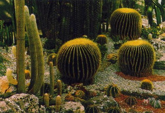 200-летие Никитского ботанического сада будет отмечаться на государственном уровне