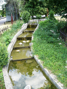Оазис посреди мира технологий