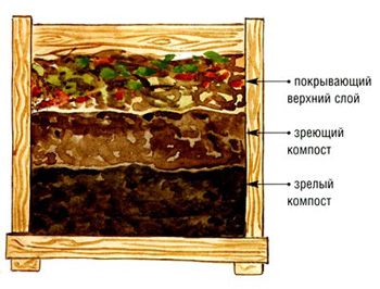 Компост - биотопливо растений