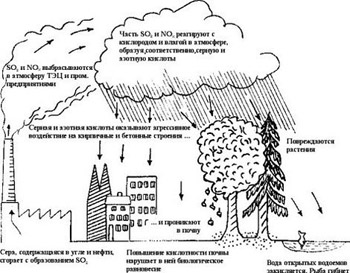 Кислотный дождь - экологичское бедствие