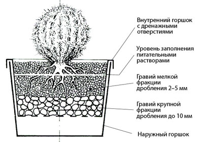 НЕСТАНДАРТНЫЕ СУБСТРАТЫ ДЛЯ ВЫРАЩИВАНИЯ СУККУЛЕНТОВ