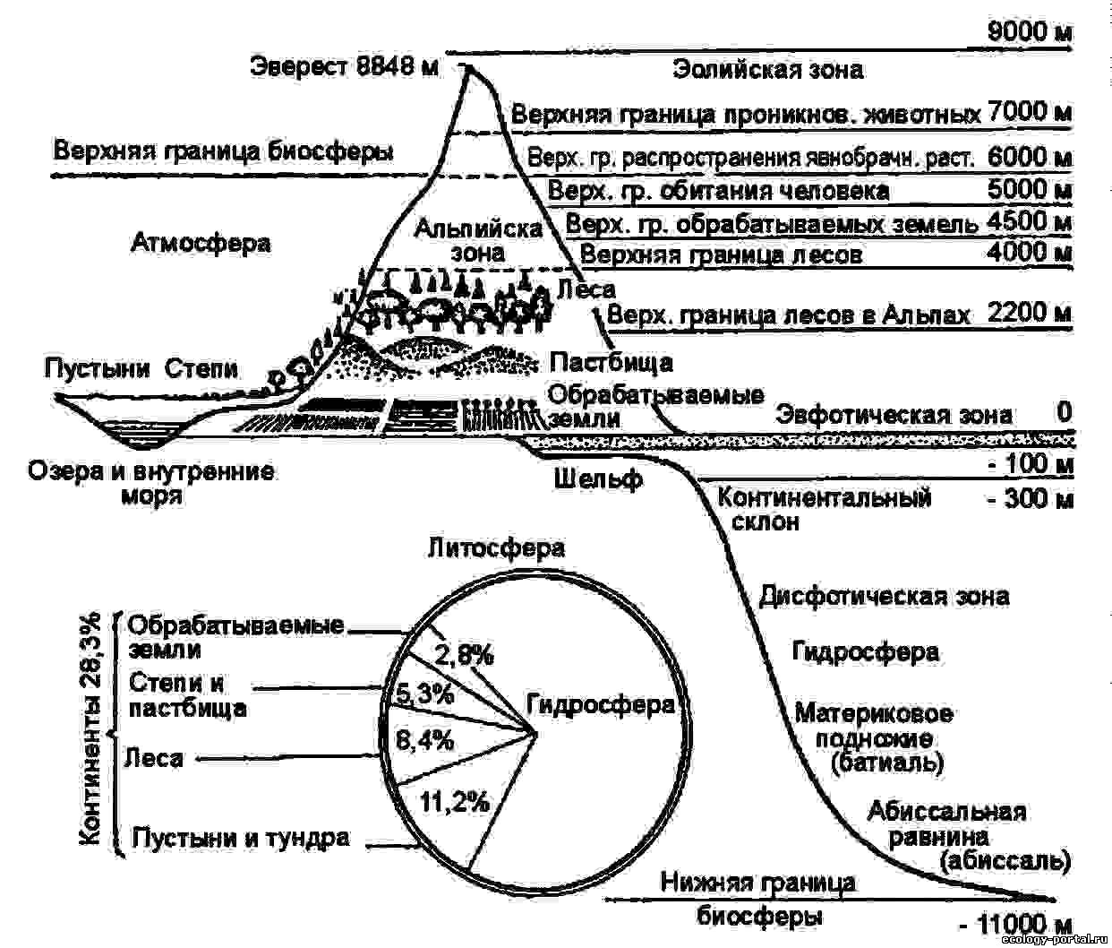 Биосфера - экосистема