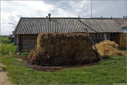 Поднимаем плодородность почвы