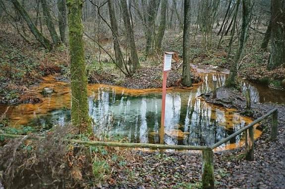 Край вересковых полей
