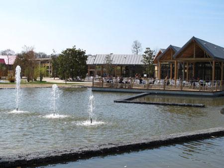 парк Terra Botanica