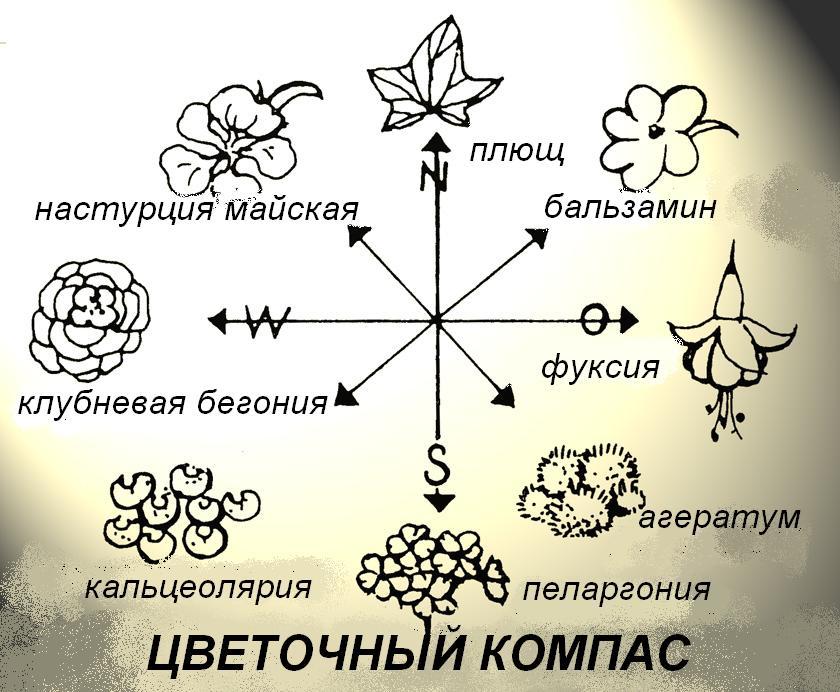 Дома, утопающие в цветах