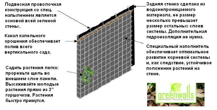 Живая стена: как это делается?