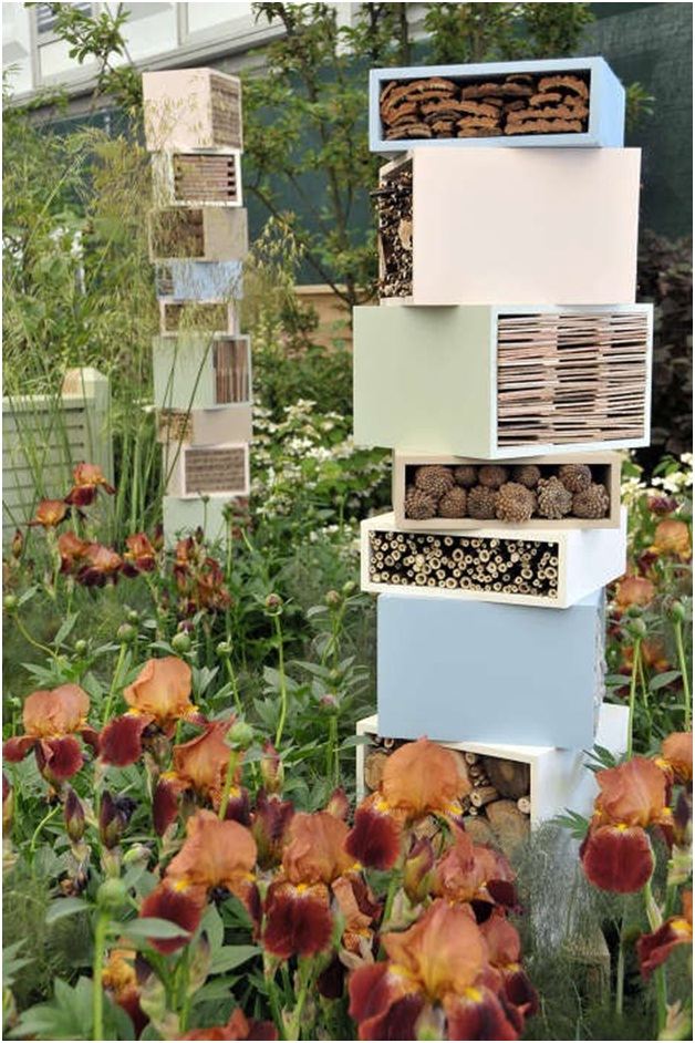 Выставка цветов в Челси - Chelsea Flower Show 2010