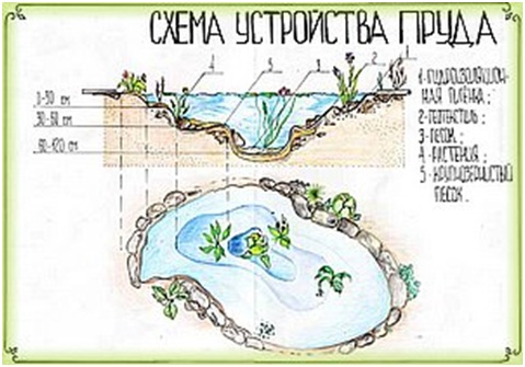 Устройство садового пруда