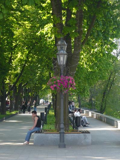 В Одессе расцвели фонарные столбы