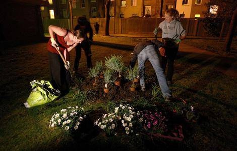 Партизанское садоводство – нелегальное озеленение в городской черте