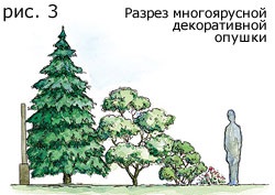 Ландшафт: поля и поляны 