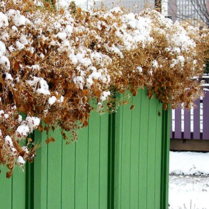 Зимний ландшафт