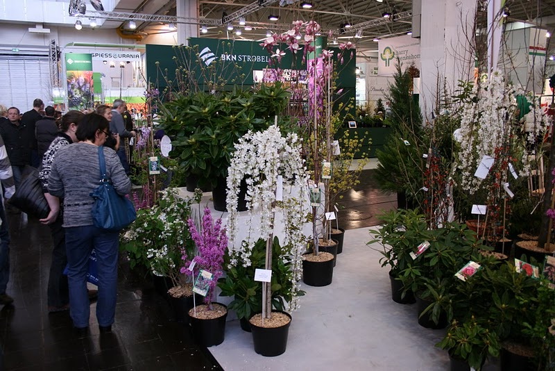 Международная цветочная выставка IPM Essen