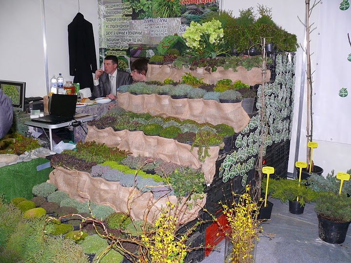 Выставка озеленения и ландшафтного дизайна 2011