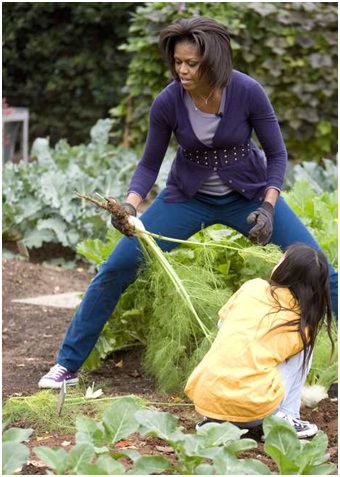 Мишель Обама напишет руководство для садоводов