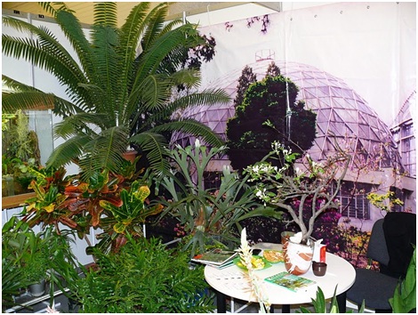 Выставка цветов в Киеве: Flowers & HorTech of Ukraine 2011