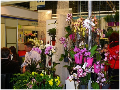 Выставка цветов в Киеве: Flowers & HorTech of Ukraine 2011