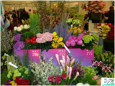 Выставка цветов в Киеве: Flowers & HorTech of Ukraine 2011