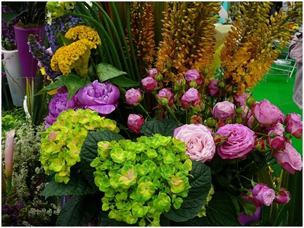 Выставка цветов в Киеве: Flowers & HorTech of Ukraine 2011