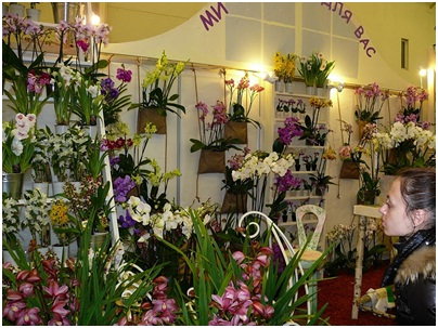 Выставка цветов в Киеве: Flowers & HorTech of Ukraine 2011