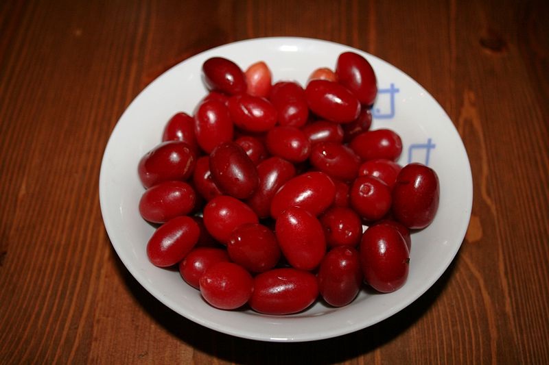 Кизил