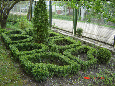 Самшит