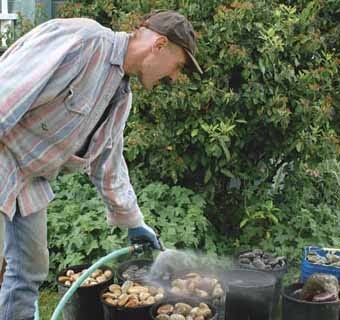 Мозаичная дорожка своими руками