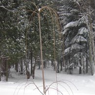 Прививка – сложно, но вполне возможно.