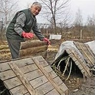 Сезонный календарь работ на ноябрь