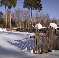 Сезонный календарь работ на декабрь