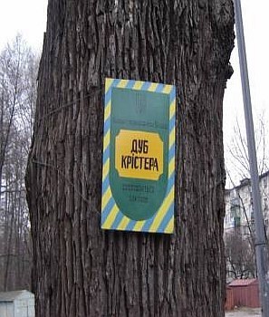 Зеленые патриархи Киева
