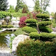 Японский сад своими руками