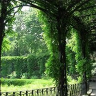 Пергола