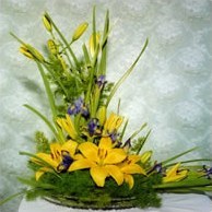 Мир флористики