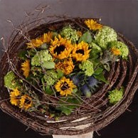Особенности итальянской флористики
