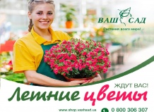 Яркая коллекция летних цветов в садовых центрах ВАШ САД!