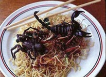 Насекомые спасут человечество