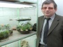 Биолог из Запорожья выращивает цветы в бутылках