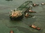 Технологии очистки нефтяных загрязнений в океане губят больше рыбы, чем сами нефтяные загрязнения